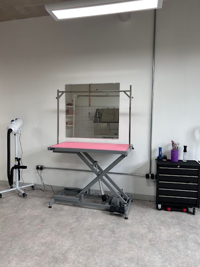 Grooming Van Image