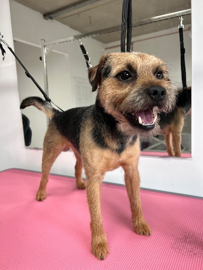 Grooming Van Image