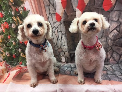 Grooming Van Image