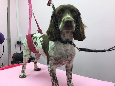 Grooming Van Image