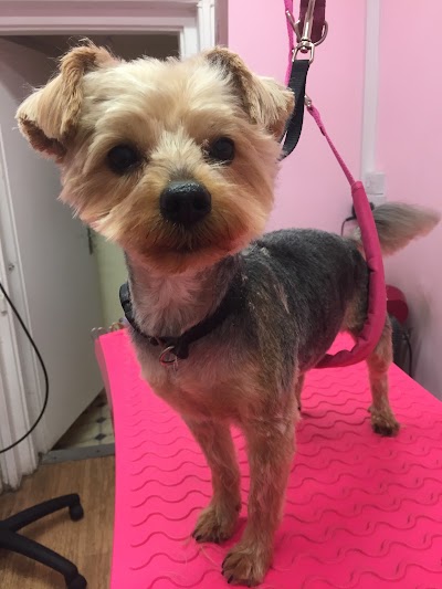 Grooming Van Image