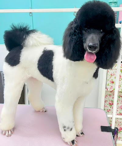 Grooming Van Image
