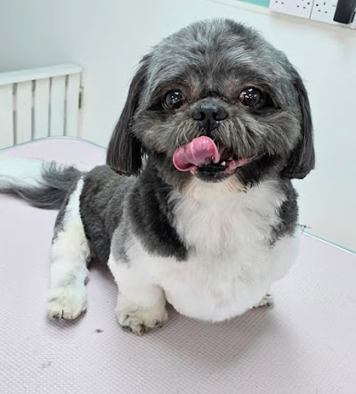 Grooming Van Image