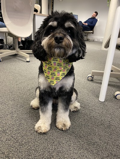 Grooming Van Image