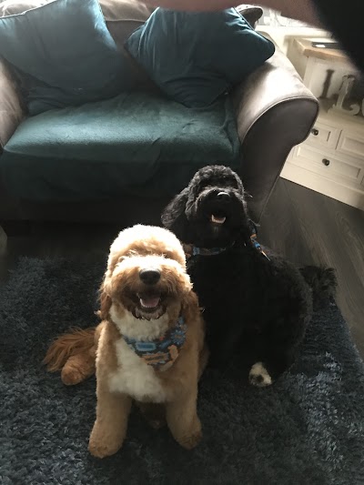 Grooming Van Image
