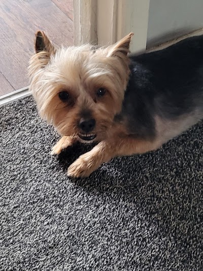 Grooming Van Image