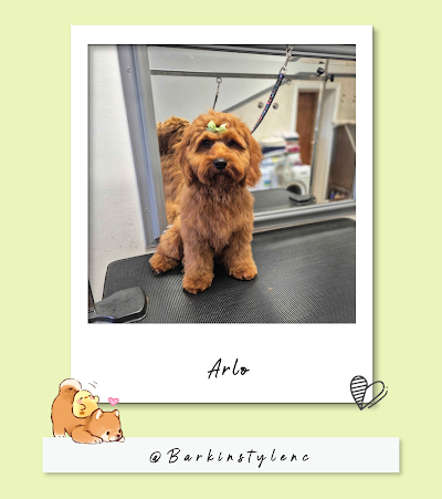 Grooming Van Image