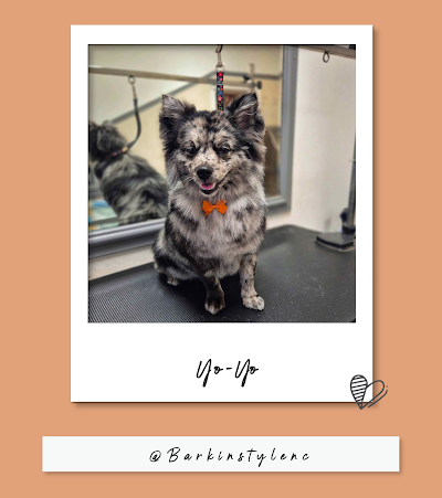 Grooming Van Image