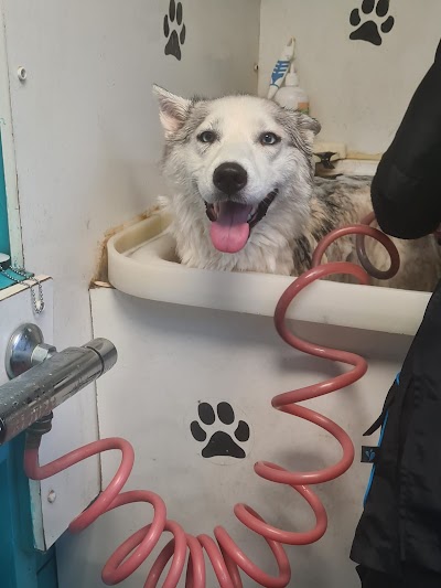 Grooming Van Image