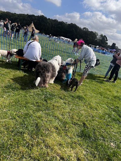 Becks' Pawfect Pets