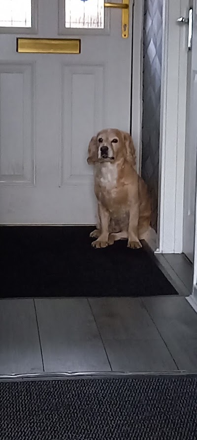 Grooming Van Image