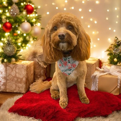 Grooming Van Image