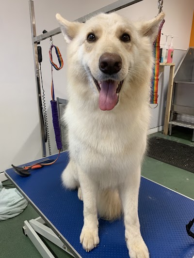 Grooming Van Image