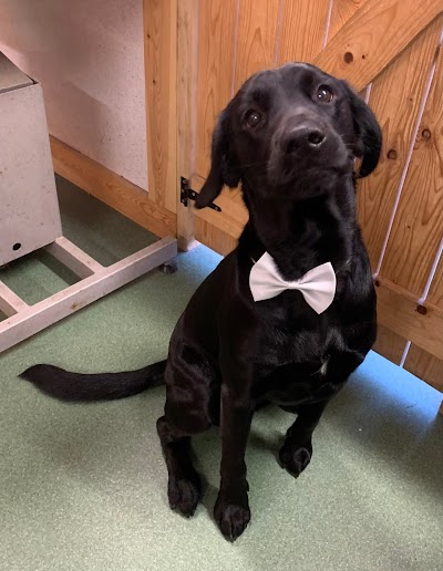 Grooming Van Image