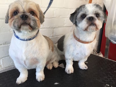 Grooming Van Image