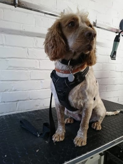 Grooming Van Image