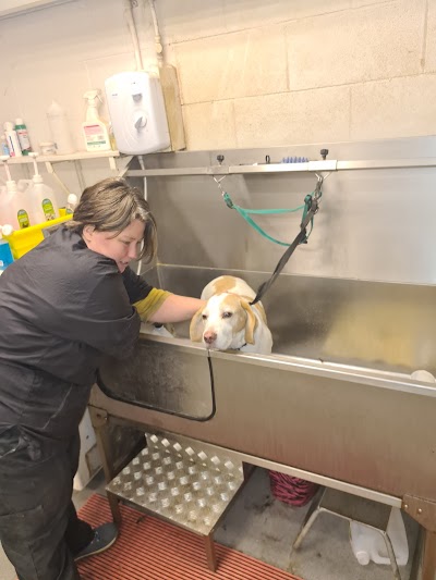 Grooming Van Image
