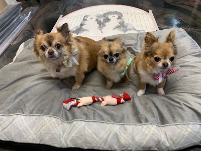 Grooming Van Image