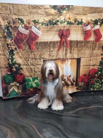 Grooming Van Image