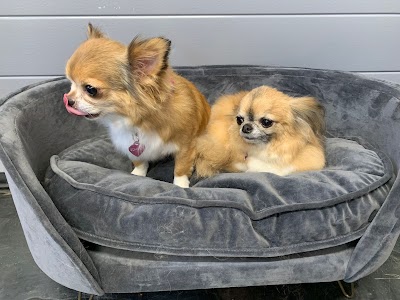Grooming Van Image