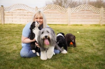 Denham’s Den Dog Grooming