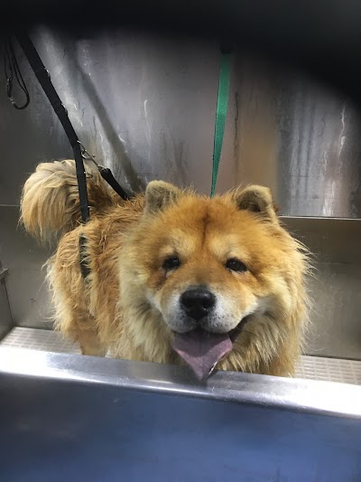 Grooming Van Image