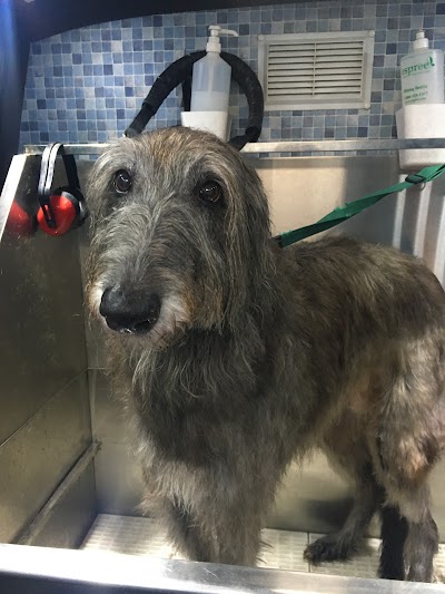 Grooming Van Image