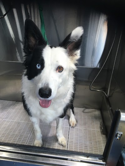 Grooming Van Image