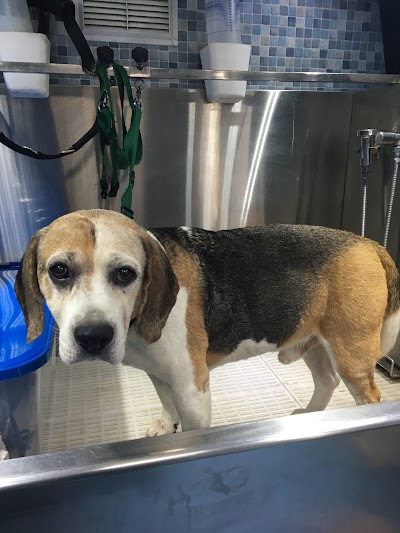 Grooming Van Image