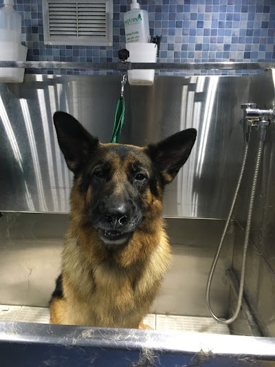 Grooming Van Image