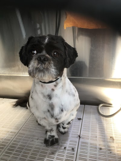 Grooming Van Image
