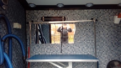 Grooming Van Image