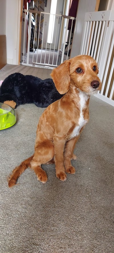 Grooming Van Image