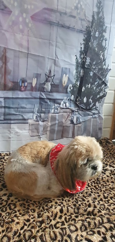 Grooming Van Image