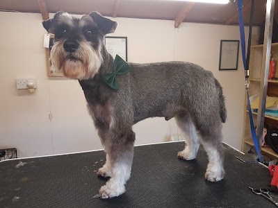 Grooming Van Image