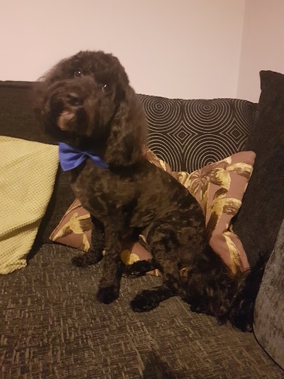 Grooming Van Image