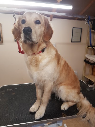 Grooming Van Image