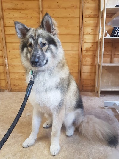 Grooming Van Image