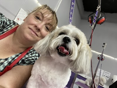 Grooming Van Image