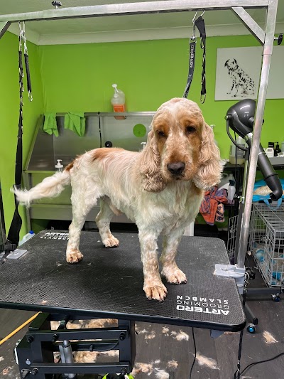 Grooming Van Image