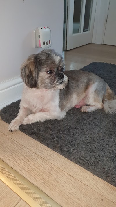 Grooming Van Image