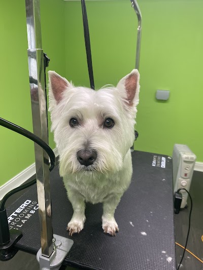 Grooming Van Image