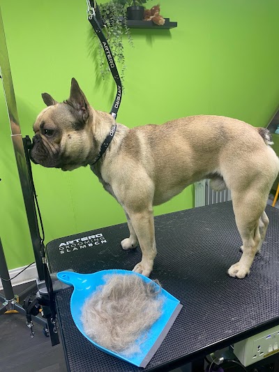 Grooming Van Image