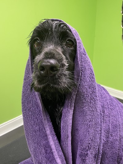 Grooming Van Image