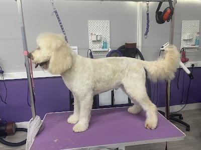 Grooming Van Image