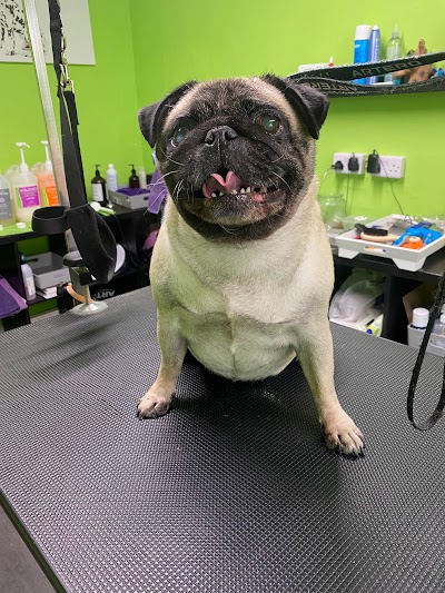 Grooming Van Image