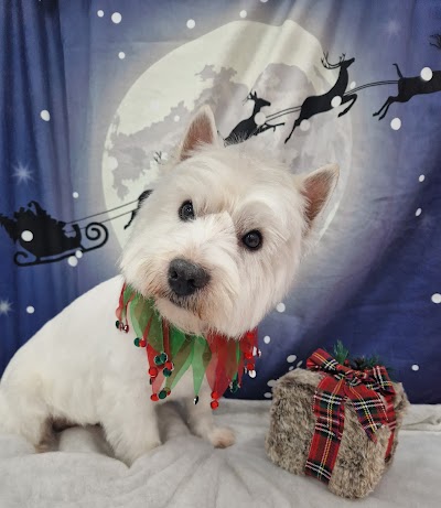 Grooming Van Image