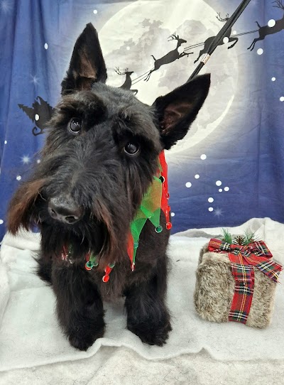 Grooming Van Image