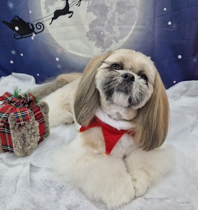 Feels Like Home Dog Grooming
