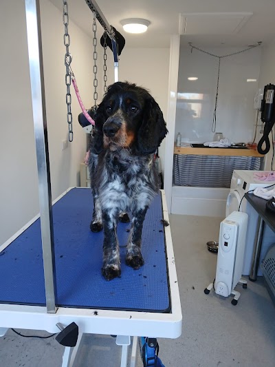 Grooming Van Image